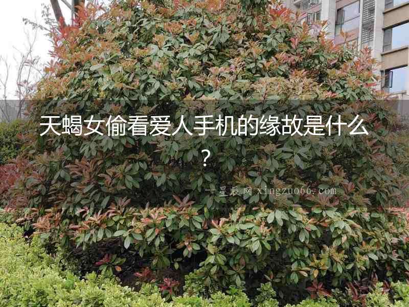天蝎女偷看愛人手機的緣故是什么？