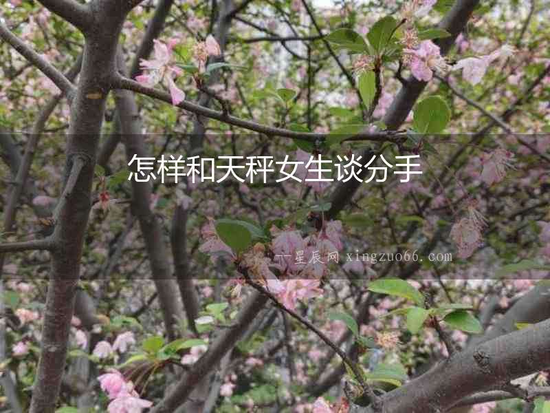 怎樣和天秤女生談分手