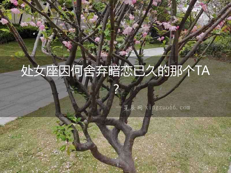 處女座因何舍棄暗戀已久的那個TA？