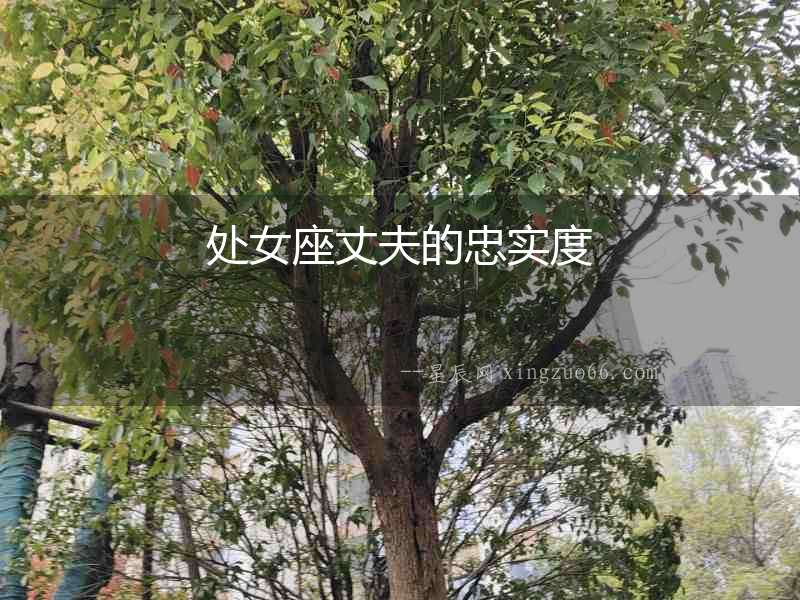處女座丈夫的忠實度