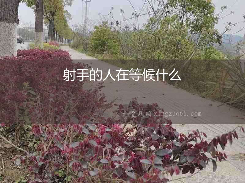 射手的人在等候什么