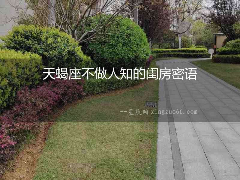 天蝎座不做人知的閨房密語