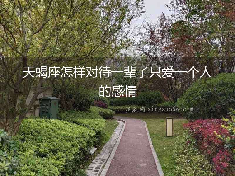 天蝎座怎樣對待一輩子只愛一個人的感情