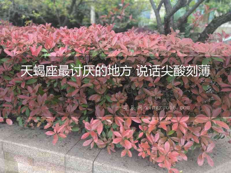 天蝎座最討厭的地方 說話尖酸刻薄