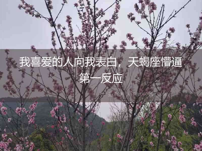 我喜愛的人向我表白，天蝎座懵逼第一反應