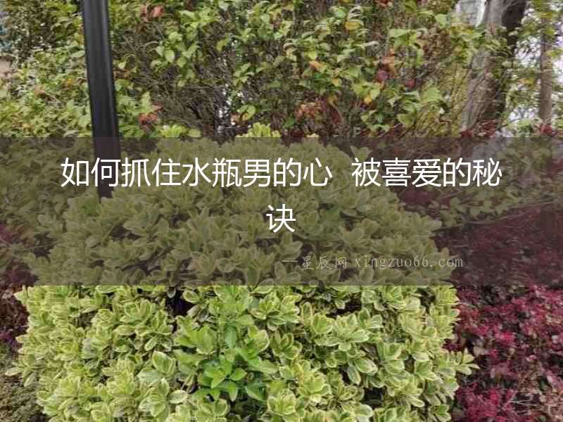 如何抓住水瓶男的心  被喜愛的秘訣