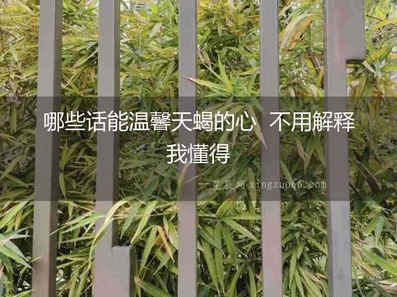哪些話能溫馨天蝎的心  不用解釋我懂得