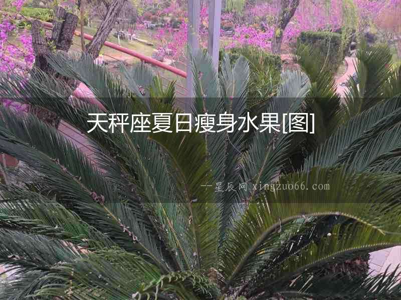 天秤座夏日瘦身水果[圖]