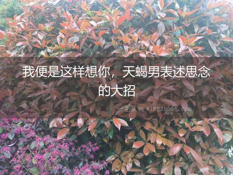 我便是這樣想你，天蝎男表述思念的大招