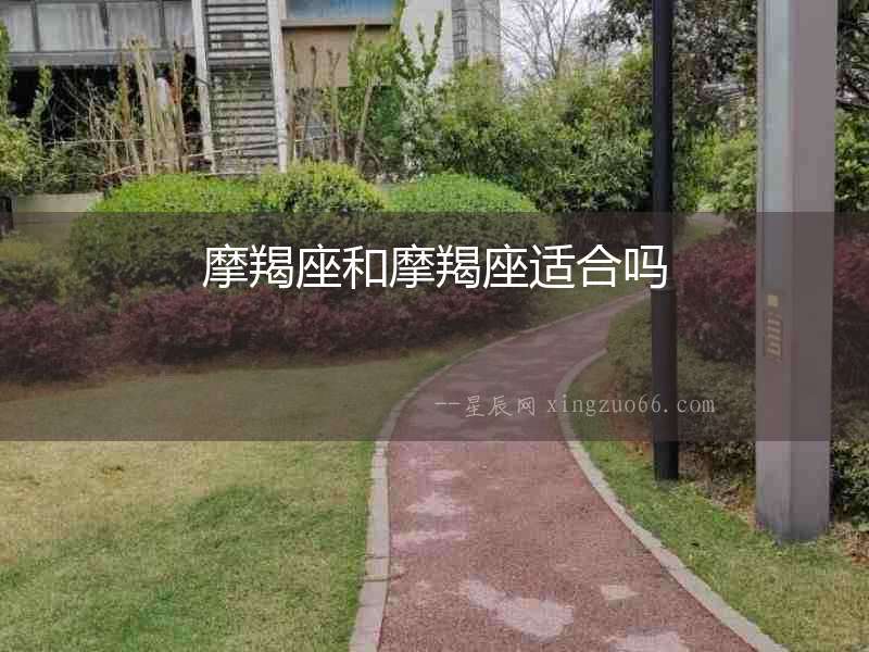 摩羯座和摩羯座適合嗎