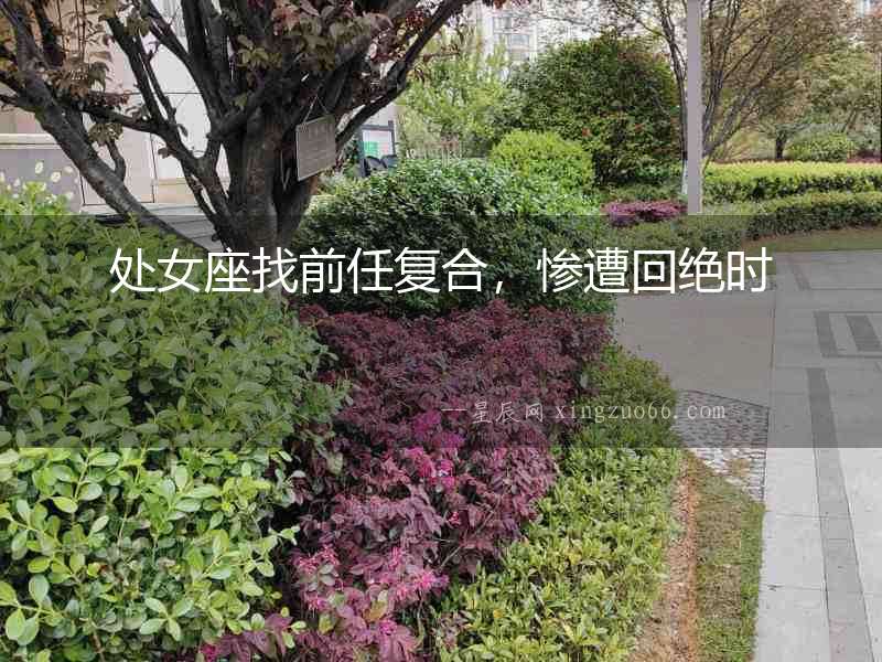 處女座找前任復合，慘遭回絕時