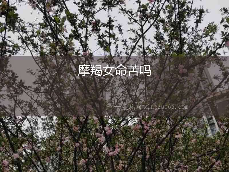 摩羯女命苦嗎