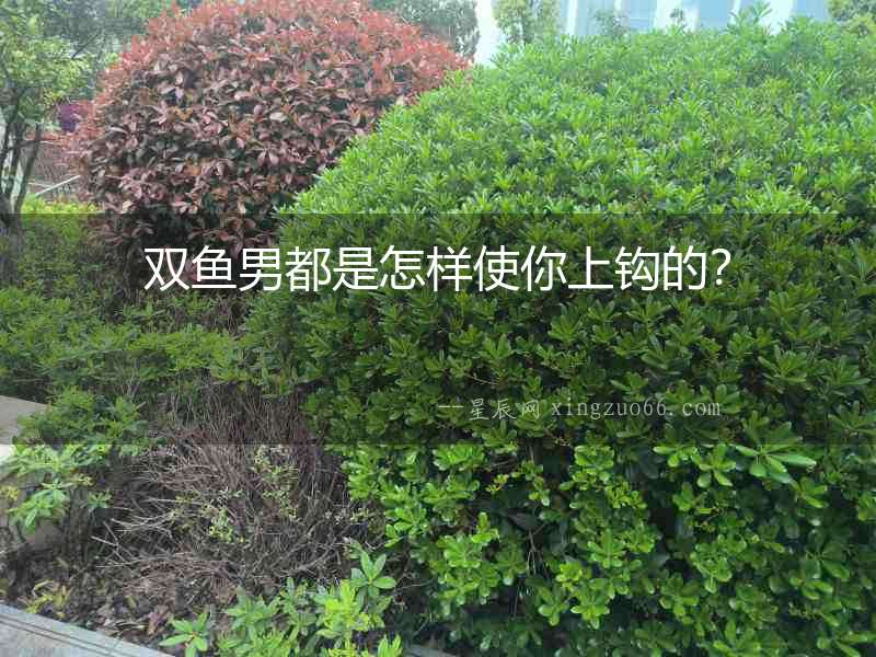 雙魚男都是怎樣使你上鉤的？