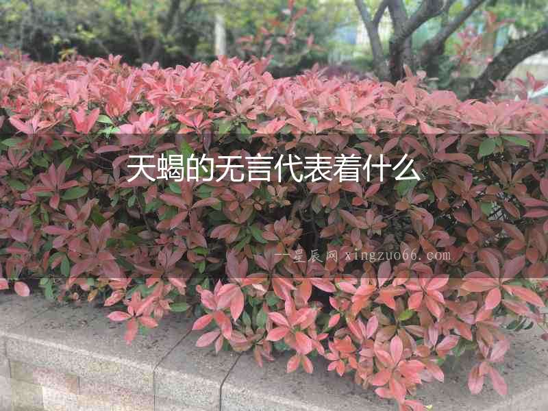 天蝎的無言代表著什么