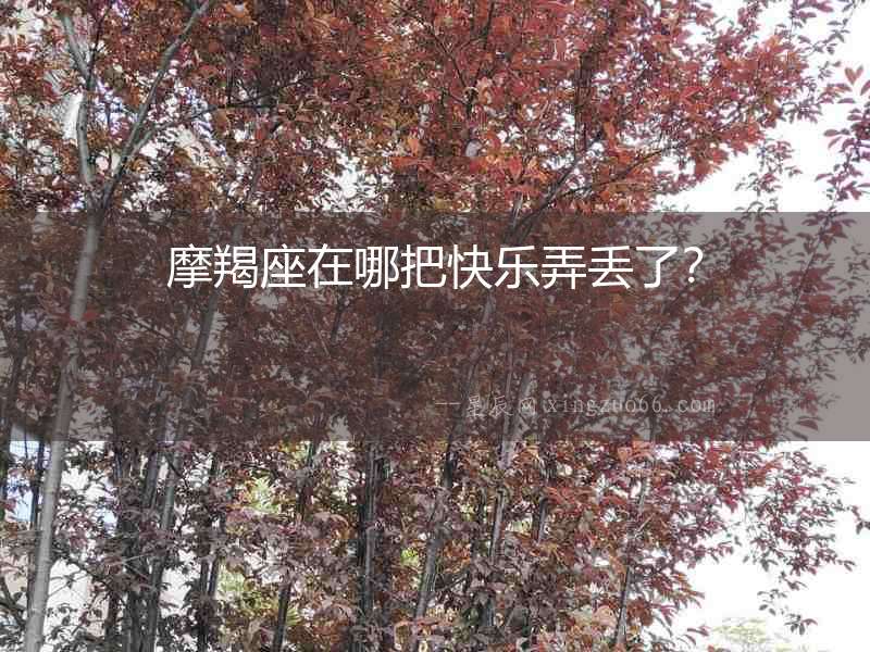 摩羯座在哪把快樂弄丟了？