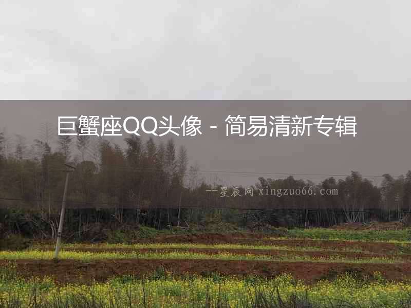 巨蟹座QQ頭像－簡易清新專輯