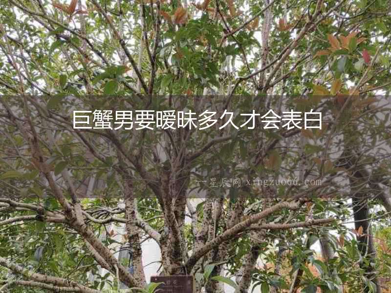 巨蟹男要曖昧多久才會表白