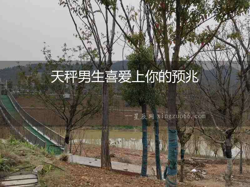 天秤男生喜愛上你的預兆