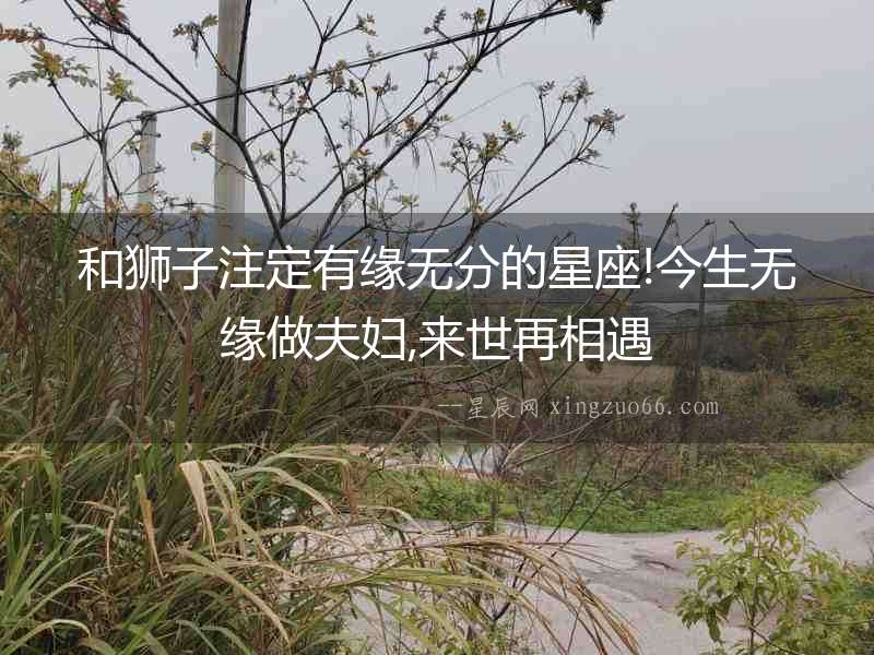 和獅子注定有緣無分的星座!今生無緣做夫婦,來世再相遇
