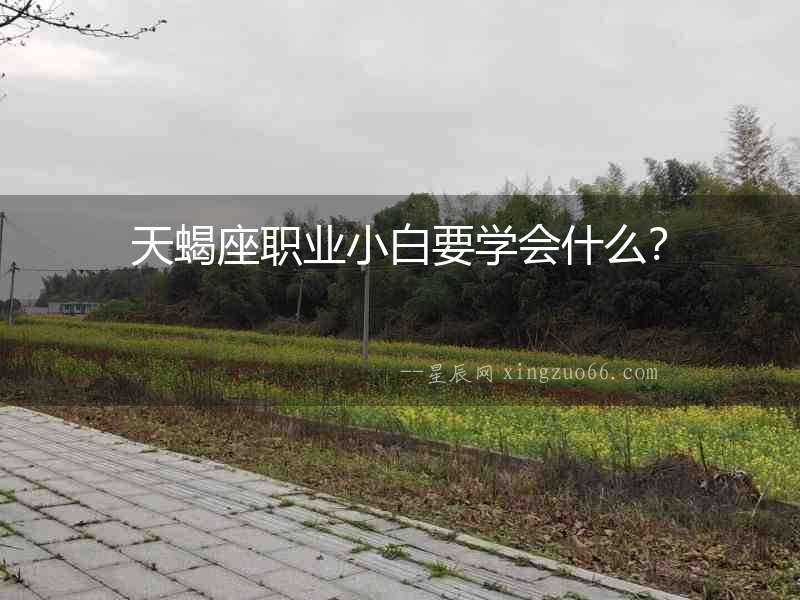 天蝎座職業(yè)小白要學(xué)會什么？