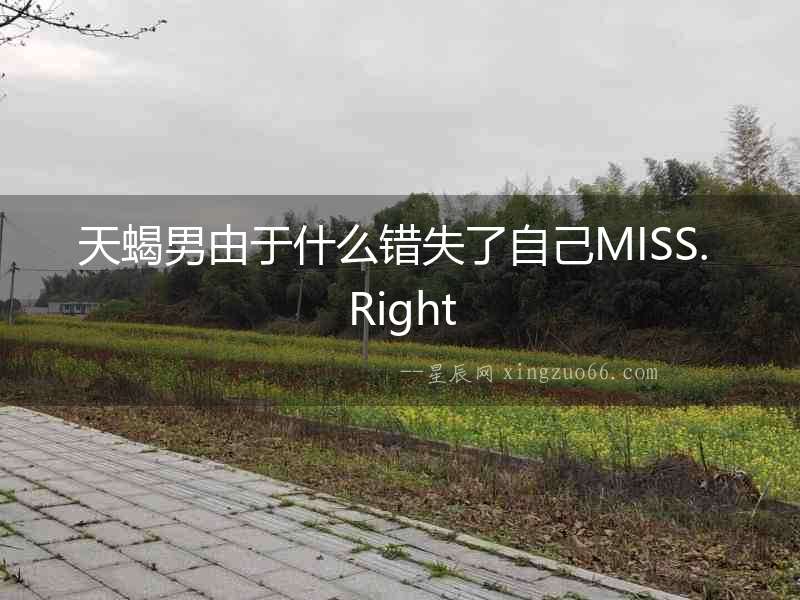 天蝎男由于什么錯失了自己MISS. Right