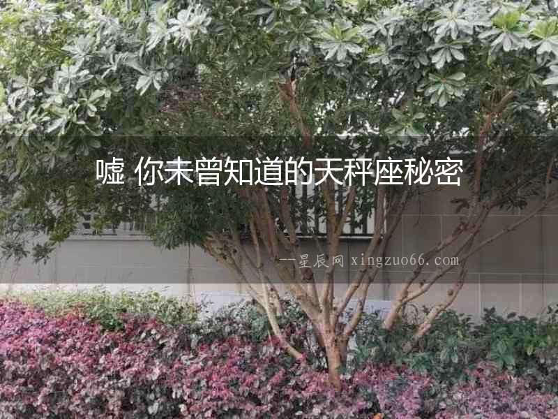噓 你未曾知道的天秤座秘密