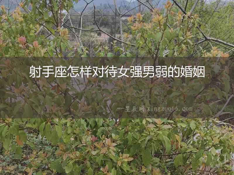 射手座怎樣對待女強男弱的婚姻