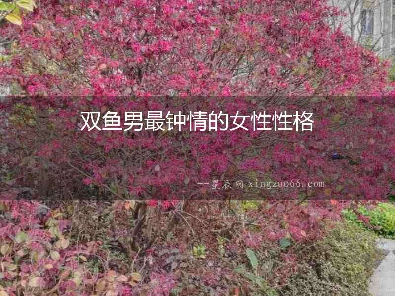 雙魚男最鐘情的女性性格