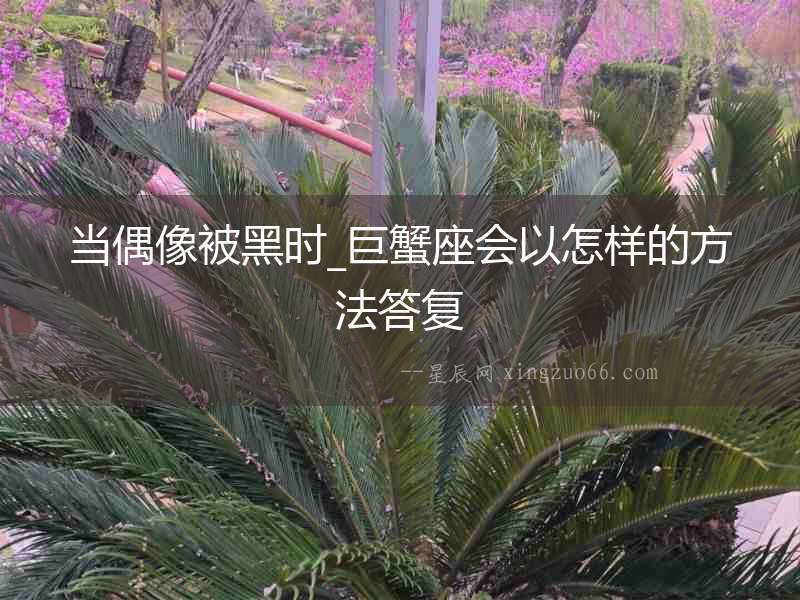 當(dāng)偶像被黑時_巨蟹座會以怎樣的方法答復(fù)