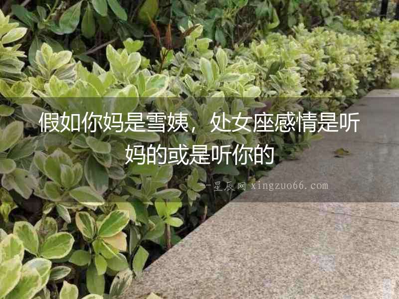 假如你媽是雪姨，處女座感情是聽媽的或是聽你的