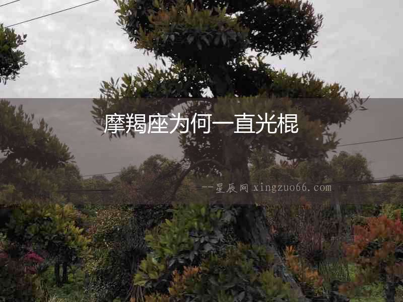 摩羯座為何一直光棍
