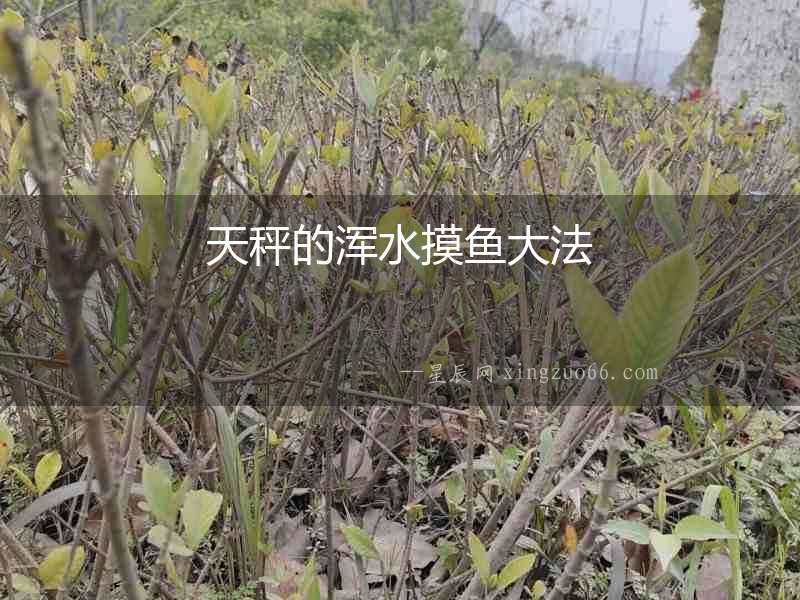 天秤的渾水摸魚大法