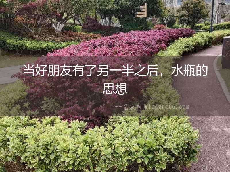當好朋友有了另一半之后，水瓶的思想