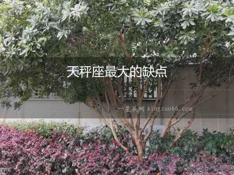 天秤座最大的缺點