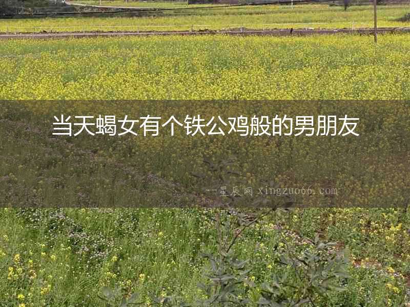 當天蝎女有個鐵公雞般的男朋友