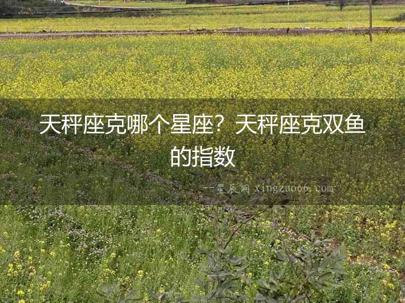 天秤座克哪個星座？天秤座克雙魚的指數(shù)