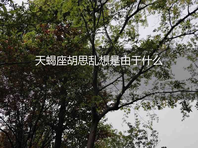 天蝎座胡思亂想是由于什么