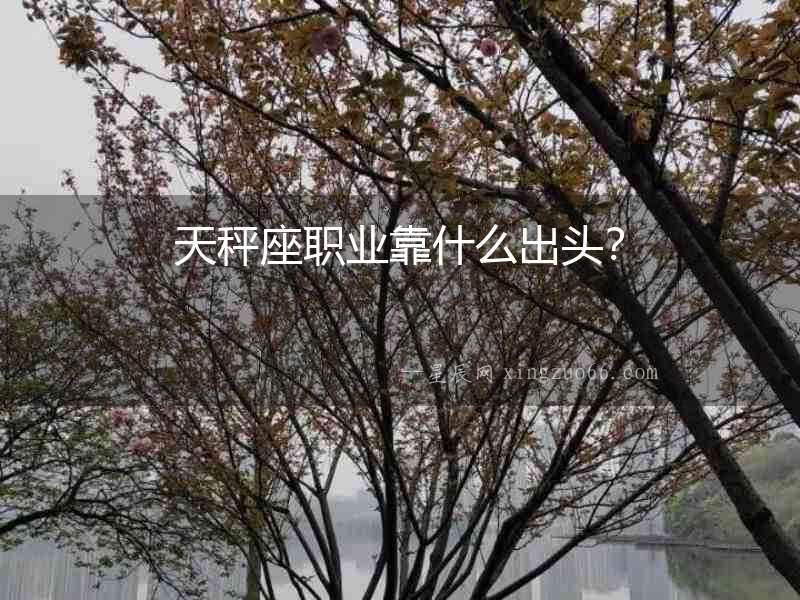 天秤座職業靠什么出頭？