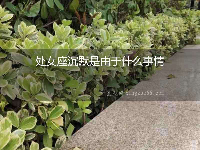 處女座沉默是由于什么事情