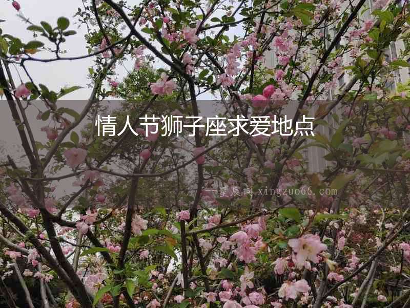 情人節獅子座求愛地點