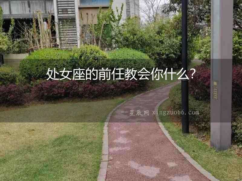處女座的前任教會你什么？