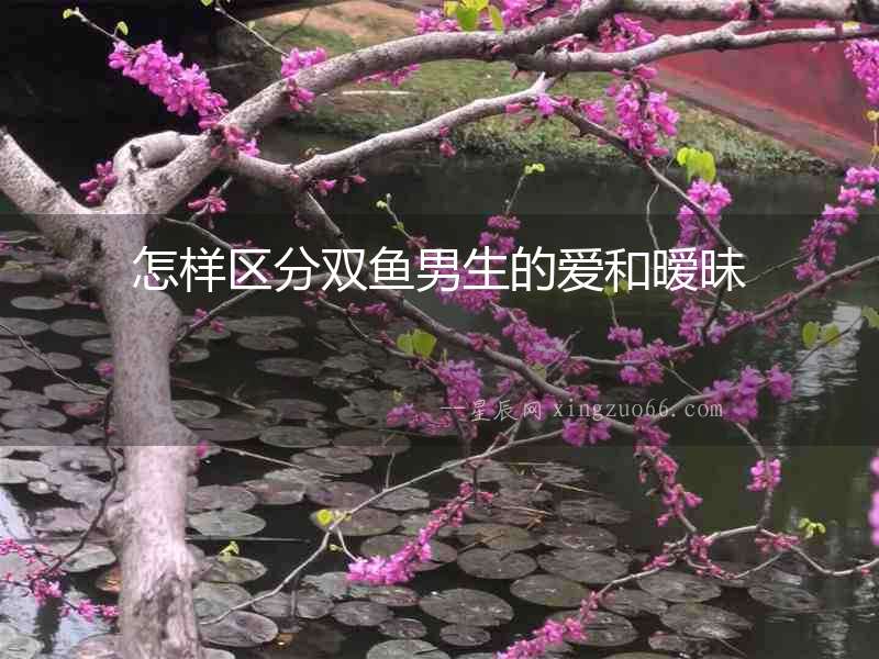 怎樣區分雙魚男生的愛和曖昧