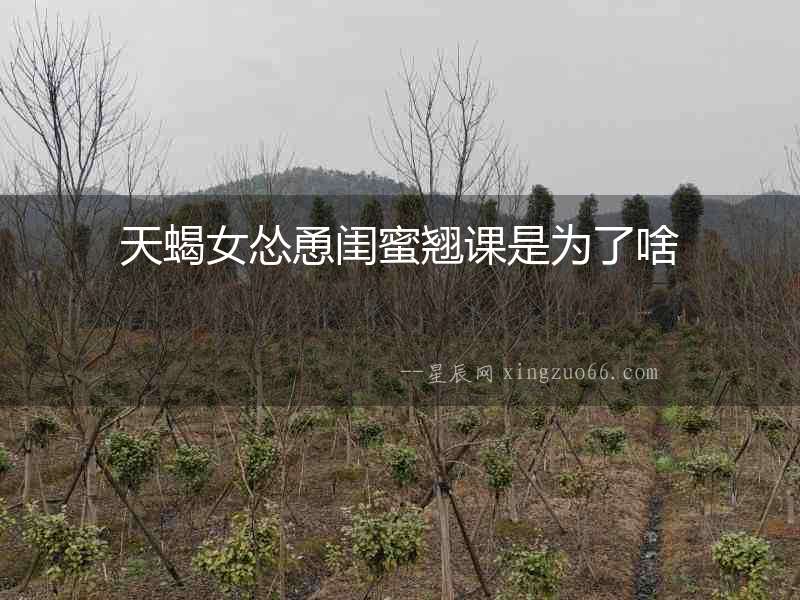 天蝎女慫恿閨蜜翹課是為了啥