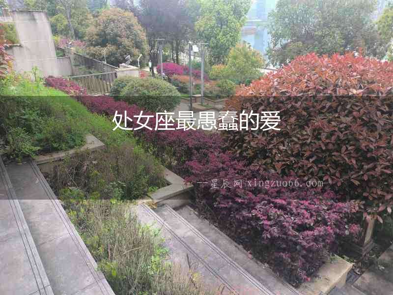 處女座最愚蠢的愛