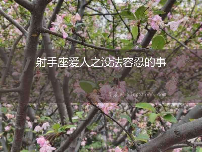 射手座愛人之沒法容忍的事