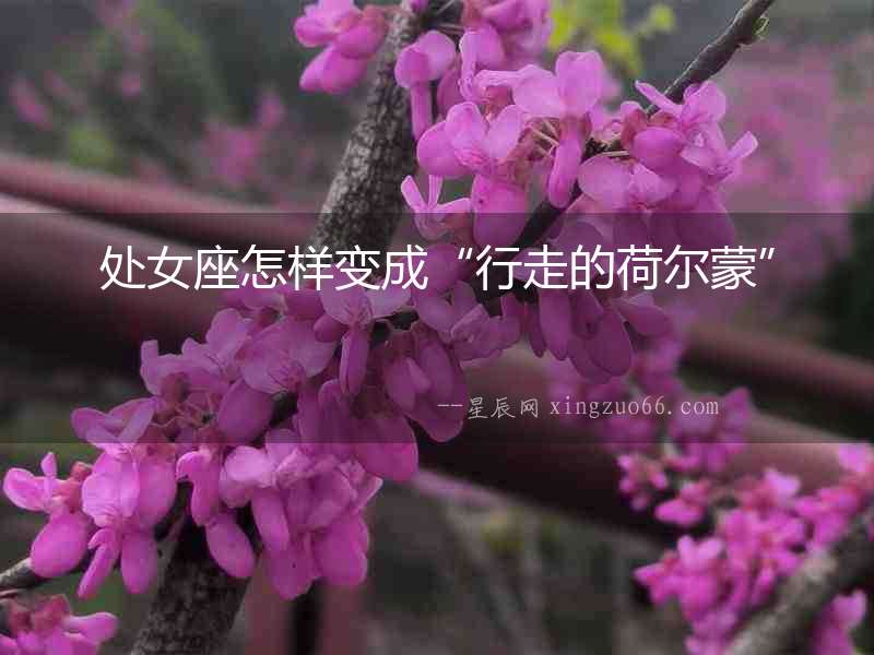處女座怎樣變成“行走的荷爾蒙”