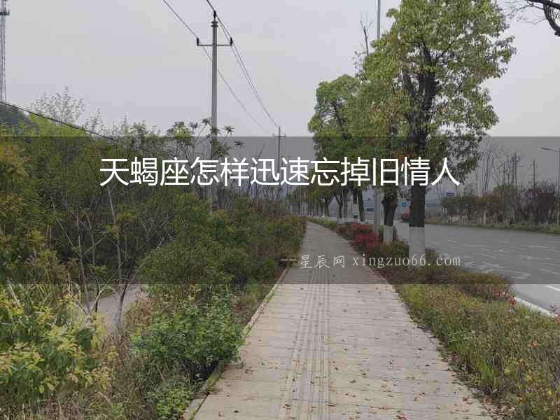 天蝎座怎樣迅速忘掉舊情人