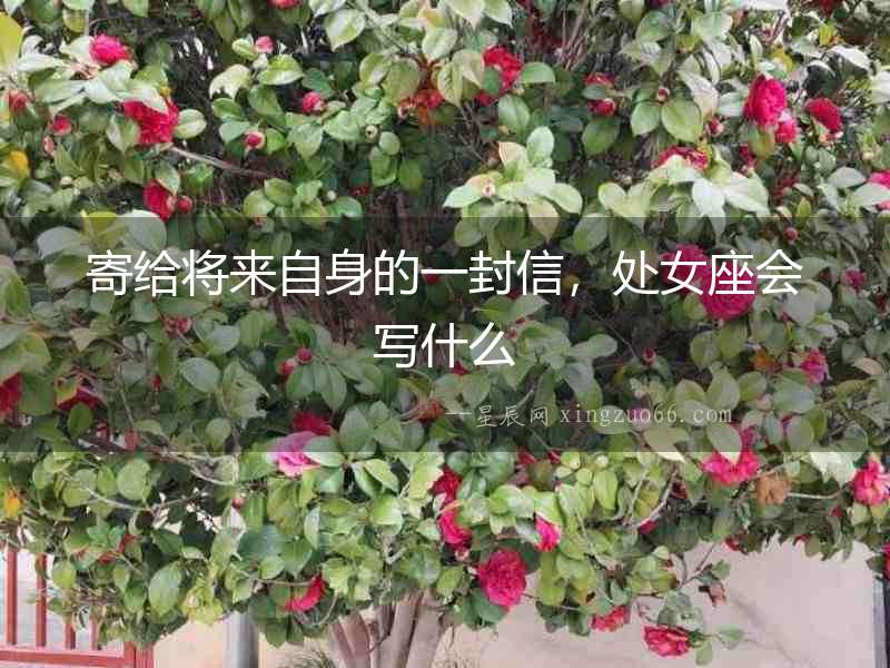 寄給將來自身的一封信，處女座會寫什么