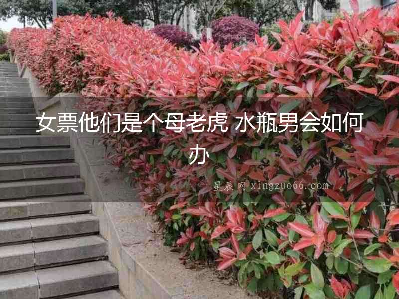 女票他們是個母老虎 水瓶男會如何辦