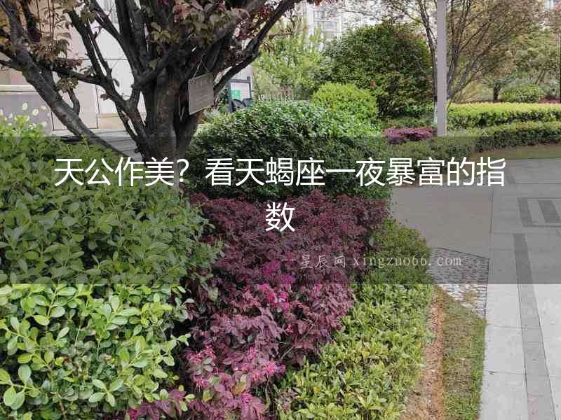 天公作美？看天蝎座一夜暴富的指數